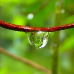 waterdrop-7721_640
