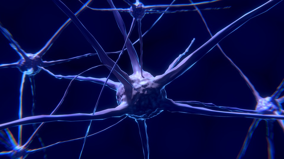neuroni specchio